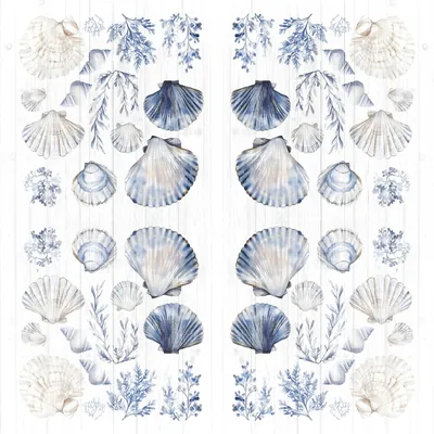 Produktbild von Servietten Papier 33x33cm 3-lagig mit Muscheln & Meer Motiv 20 Stück