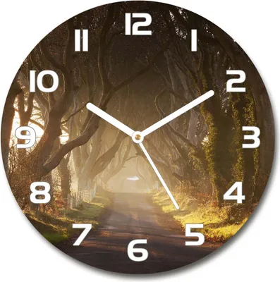 Produktbild von Wanduhr aus Glas 30fi Glasbild Glasuhr Gehärtetes Glas - weisse-zeiger - Fog in the forest