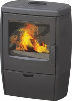 A black wood-burning stove with a glass door showing a fire.