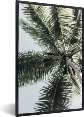 Produktbild von MuchoWow® Gerahmtes Poster Palme - Tropisch - Sommer 60x90 cm - Poster mit Schwarzem Bilderrahmen Wandposter Rahmen Foto Bilder - Kunst