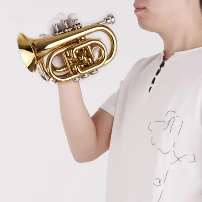 Image de Mini-trompette de poche Sib Instrument à vent plat en laiton avec embouchure Gants Chiffon de nettoyage Sac de transport