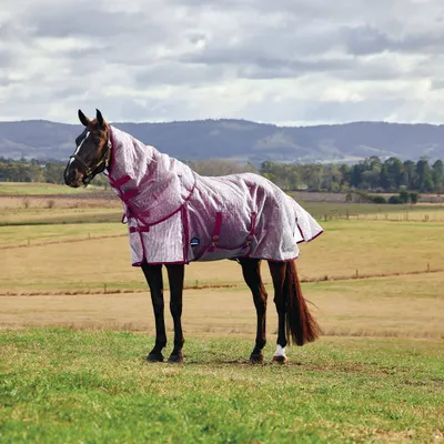 Produktbild von Weatherbeeta Fliegendecke in Größe 155 - Comfitec Ripshield Fly Sheet Detach-A-Neck