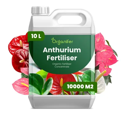 Zdjęcie produktu dla Anthurium Nawóz Płynny 10 L – 3-4-3 NPK – Do Kvitnúce Rośliny – Do Bujne Kwiaty i Silne Korzenie – Podporuje Stonky i Vitalitu – Organifer