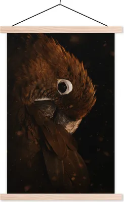 Produktbild von MuchoWow® Textilposter Papagei - Vogel - Federn 40x60 cm mit holzfarbenen Rahmen - Poster