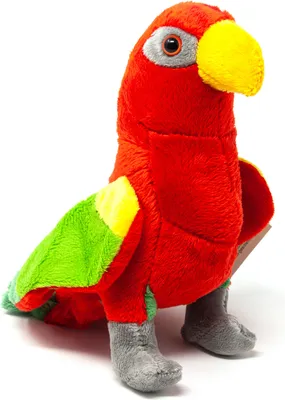 Image de Cornelissen - Doudou - Prachtlori - 18,5 cm