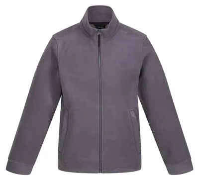 Image de Veste polaire Regatta pour homme LT150 (2XL) (grise)