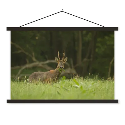 Produktbild von MuchoWow® Textilposter Hirsche - Gras - Wald 60x40 cm mit schwarzem Rahmen - Hölzernes