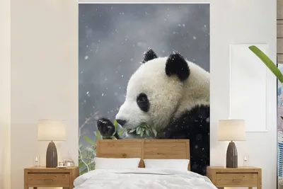 Produktbild von MuchoWow® Fototapete für Wohnzimmer oder Schlafzimmer Wandtapete Vinyl Motivtapete Panda - Bambus - Schnee - 155x240 cm - Tapete