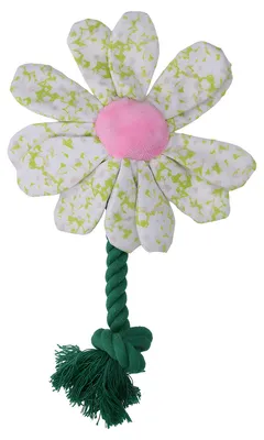 Image de Garden Paws Flower Spring Sakura M