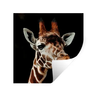 Produktbild von MuchoWow® Wandtattoo Wandsticker Wandaufkleber Giraffe - Tiere - Schwarz 30x30 cm Selbstklebend und Repositionierbar - Repositionierbar - Wasser abweisend