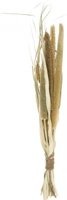 Produktbild von Trockenfloristik Getreide Hirsekolben Deko Naturell 45cm