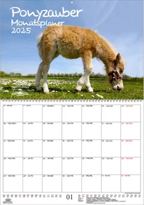Produktbild von Ponyzauber Planer DIN A2 Kalender für 2025 Pony und Fohlen - Seelenzauber