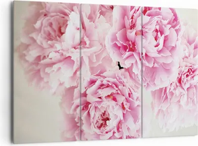 Produktbild von Bild auf Leinwand - Leinwandbild - 3 Teile - Pfingstrosen Blumenstrauß Blumen - 165x110cm - Wand Bild - Wanddeko - Wandbilder - Leinwanddruck - Bilder - Wanddekoration - Leinwand bilder CE165x110-4961