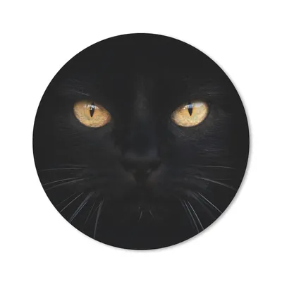 Produktbild von MuchoWow® Mauspad Mousepad Nahaufnahme einer schwarzen Katze 40x40 cm - Mousepads - Maus Mat - Pad - Mausunterlage - Schreibtisch Accessoires