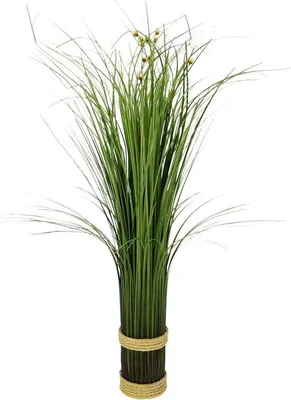 Immagine prodotto di Erba con fiori bianchi - Erba ornamentale - Pianta verde