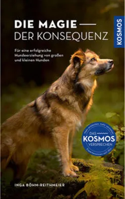 Produktbild von Die Magie der Konsequenz