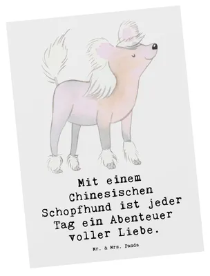 Produktbild von Mr. & Mrs. Panda Postkarte Chinesischer Schopfhund Abenteuer - Weiß - Geschenk, Hunderassen Pflege, Eigenschaften, Charakter, Postkarten, exotische Hunde, Hunderasse
