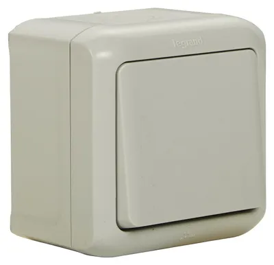 Image de Legrand Forix 782383 Ip 44-10A X 250V Grey Switch