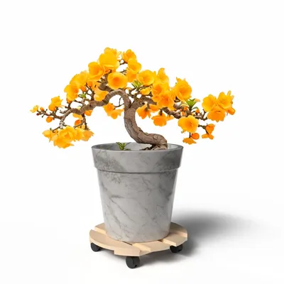 Produktbild von BigDean Pflanzenroller Holz Rund 30 cm - 120 Kg belastbar Rolluntersetzer aus Buchenholz Indoor & Outdoor Blumentopf Untersetzer mit Rollen