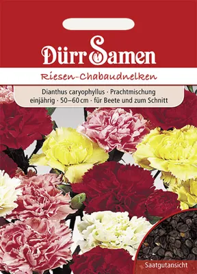 Produktbild von Riesen Chabaudnelke | Chabaudnelkensamen von Dürr Samen