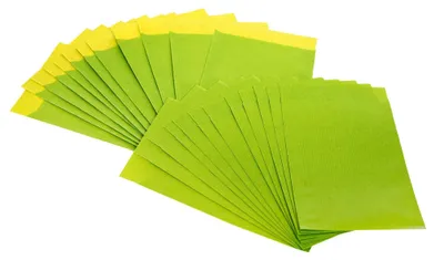 Produktbild von Flachbeutel grün / limone aus Papier (9,5 x 14 cm) 100 Stück100 Stück