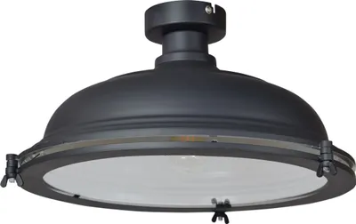 Produktbild von Deckenleuchte Bronx Ø42 mattschwarz