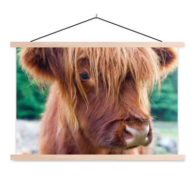 Produktbild von MuchoWow® Textilposter Schottischer Highlander - Braun - Kalb 120x80 cm mit holzfarbenen Rahmen - Aufhängeset
