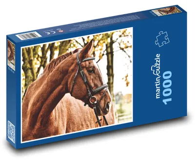 Obrázok produktu pre Puzzle 1000 Jesenný portrét žrebca - martinpuzzle