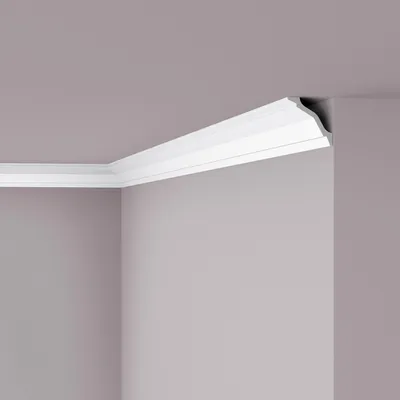 Image de NMC WT26 WALLSTYL Corniche Moulure décorative Corniche de plafond 2 m