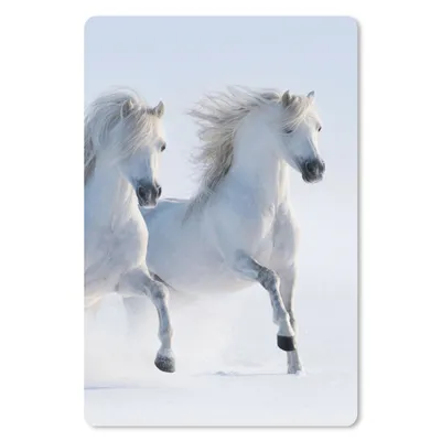 Produktbild von MuchoWow® Mauspad Mousepad Winter - Pferde - Schnee 18x27 cm - Mousepads - Maus Mat - Pad - Mausunterlage