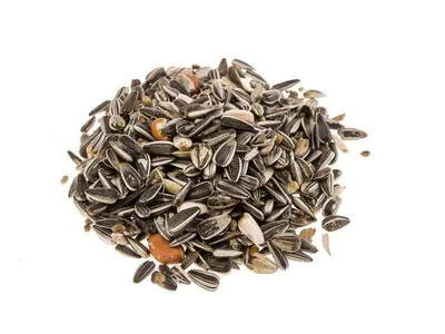 Produktbild von Classic Bird Meisenfutter - 5 kg