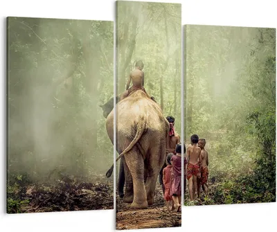 Produktbild von Bild auf Leinwand - Leinwandbild - Elefant Dschungel Nebel - 95x80cm - Wand Bild - Wanddeko - Leinwanddruck - Bilder - Kunstdruck - Wanddekoration - Leinwand bilder - Wandkunst - CB95x80-3438