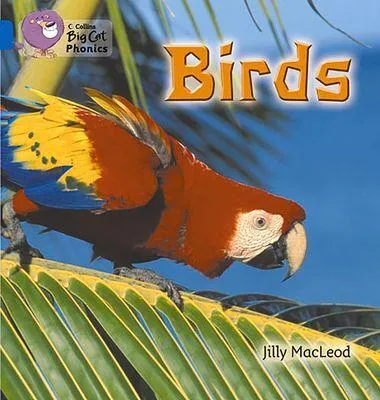 Produktbild von Big Cat Phonics - Birds