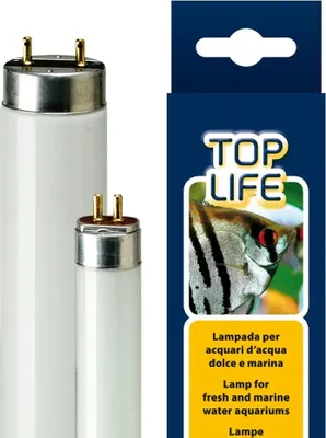 Obrázok produktu pre Ferplast Aquasky 8W Aquariumlampe
