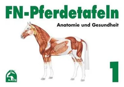 Immagine prodotto di Anatomia e salute dei cavalli da tiro