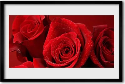 Produktbild von Bild 60x40 MDF-Rahmen Wandkunst Rosen Blumen