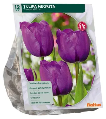 Productafbeelding van Tulipa Negrita 12 stuks bloembollen Baltus