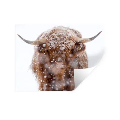 Produktbild von MuchoWow® Wandtattoo Wandsticker Wandaufkleber Schottischer Highlander - Hörner - Schnee 40x30 cm Selbstklebend und Repositionierbar - Faltenfrei