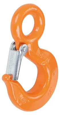 Image de Crochet de levage fixe Robur BETA 8052 - 800 kg