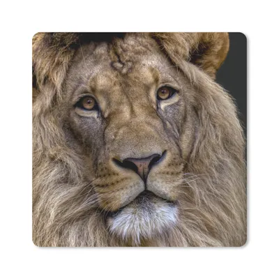 Produktbild von MuchoWow® Mauspad Mousepad Löwe - Porträt - Dunkel 20x20 cm - Mousepads - Maus Mat - Pad - Mausunterlage - Desk Mat - Bureauartikeln