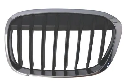 Image de Grille de radiateur BLIC 6502-07-0082993MP