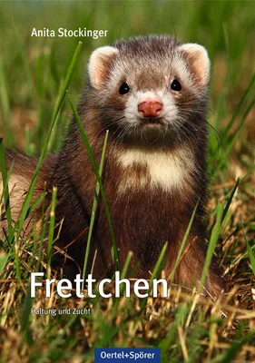 Produktbild von Frettchen