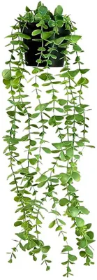 Productafbeelding van Unyqoos® Kunstplant - Eucalyptus hangplant van kunststof - levensecht, UV-bestendig en waterdicht, gemakkelijk te onderhouden decoratie voor binnen en buiten