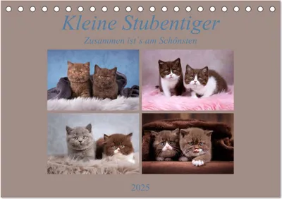 Produktbild von Kleine Stubenstiger (Tischkalender 2025 DIN A5 quer), CALVENDO Monatskalender