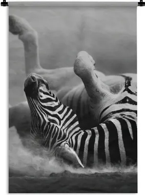 Produktbild von MuchoWow® Wandteppich Wandbehang Zebra - Tiere - Schwarz - Weiß 60x90 cm Tapisserie Dekoration Wandtuch - Foto-Teppich - Abwaschbar