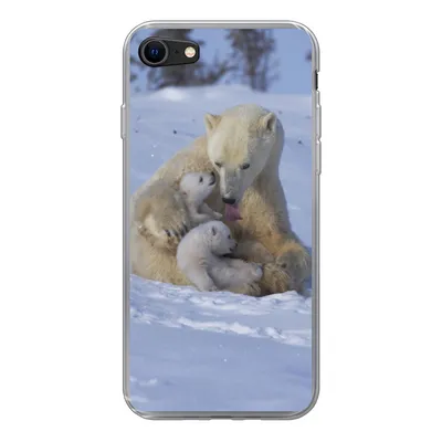 Produktbild von MuchoWow® Handyhülle Schutzhülle Hülle für iPhone 8 Eisbären - Schnee - Weiß Silikon Softcase Handy Hülle - Schutzhaube