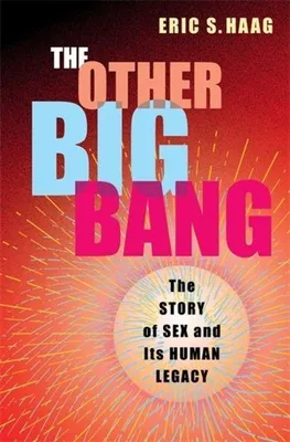 Produktbild von The Other Big Bang