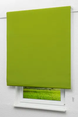 Produktbild von Lysel Outlet - Verdunkelungsrollo Gelbgrün, (B x H) 82.50cm x 190cm in grün/gelbgrün