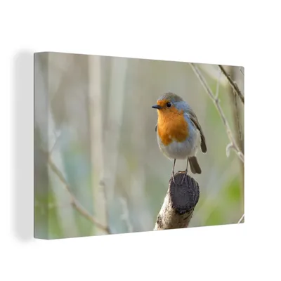 Obrázek produktu pro OneMillionCanvasses® Malba na plátně Nástěnná malba na plátně - Robin - dřevo - větve - 150x100cm