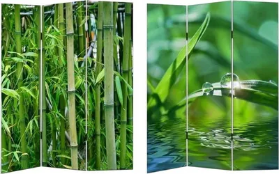 Produktbild von Paravent 170x120 cm, beidseitig bedruckt mit Bambusmotiv, Raumteiler Sichtschutz